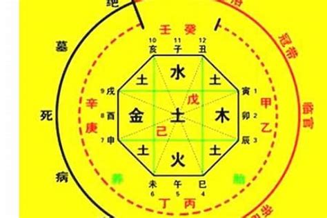 八字須|生辰八字算命、五行喜用神查詢（免費測算）